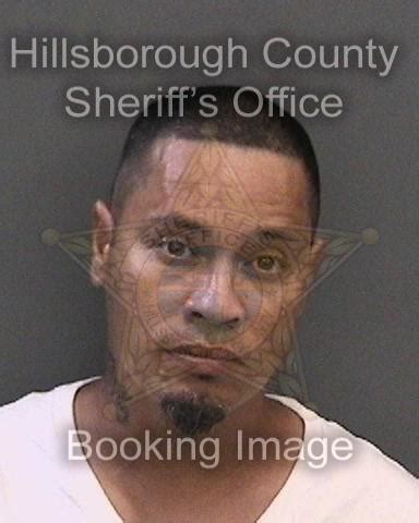 hillsborough jail inquiry|hillsborough county jail mugshots.